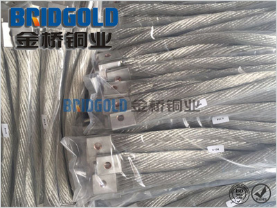 鍍錫銅絞線兩端壓銅管 鍍錫銅絞線兩端壓銅管