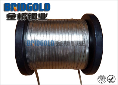 防雷跨接線(xiàn)