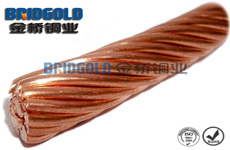 承力索硬銅絞線(xiàn) 承力索硬銅絞線(xiàn)